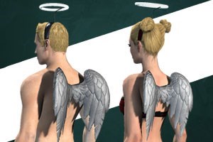 Fallen Angel Pack(Character lifetime)