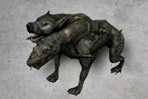 Lizard Dog Pet