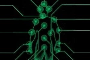 Invisible Slot Bundle