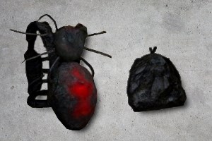 Spider Backback Bundle