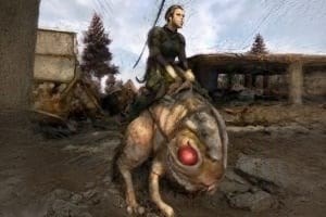 Prairie Chicken Mount