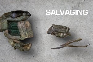 Salvage Speed Booster