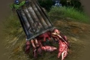Trashy the Hermit Crab