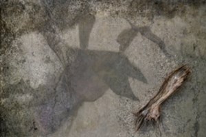 Creeper Bait (Crabbahoak)